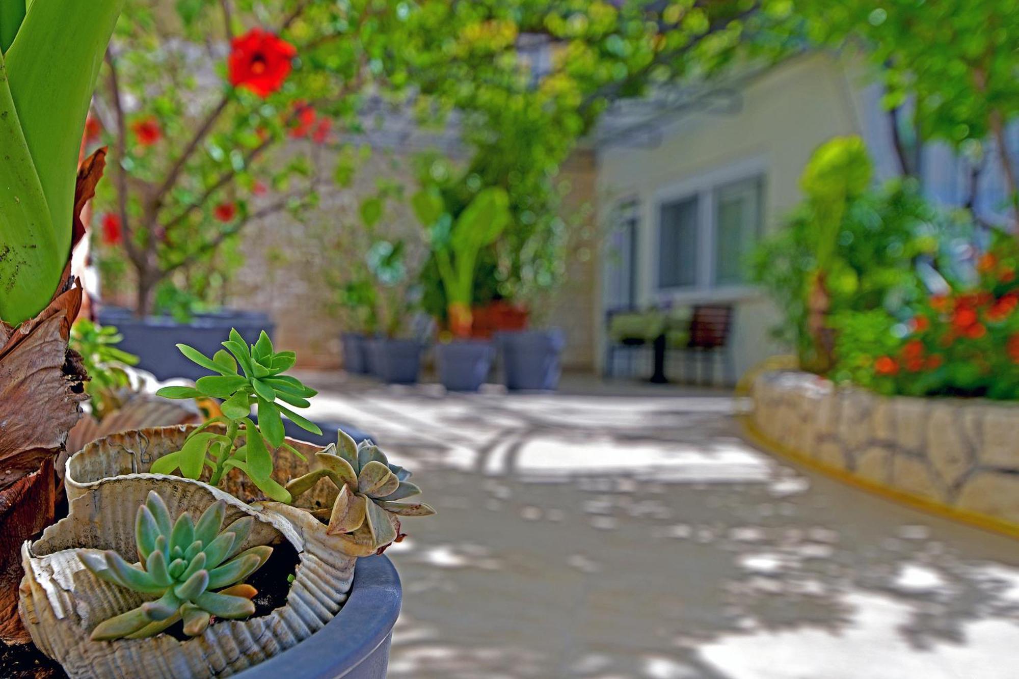 Apartments Micic هفار المظهر الخارجي الصورة